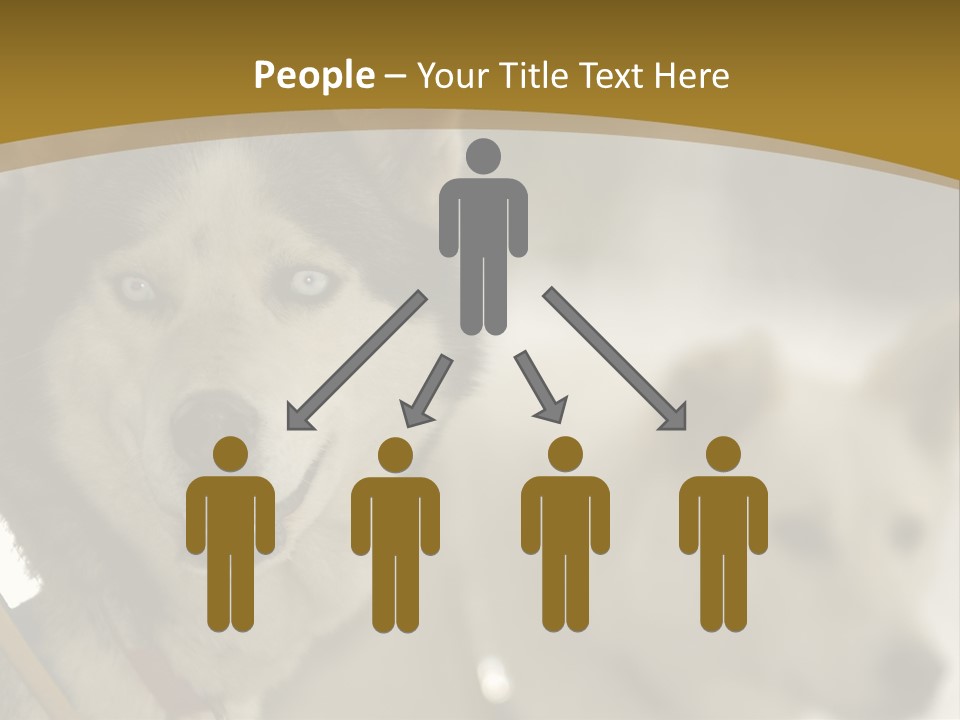 Performance Husky Fur PowerPoint Template