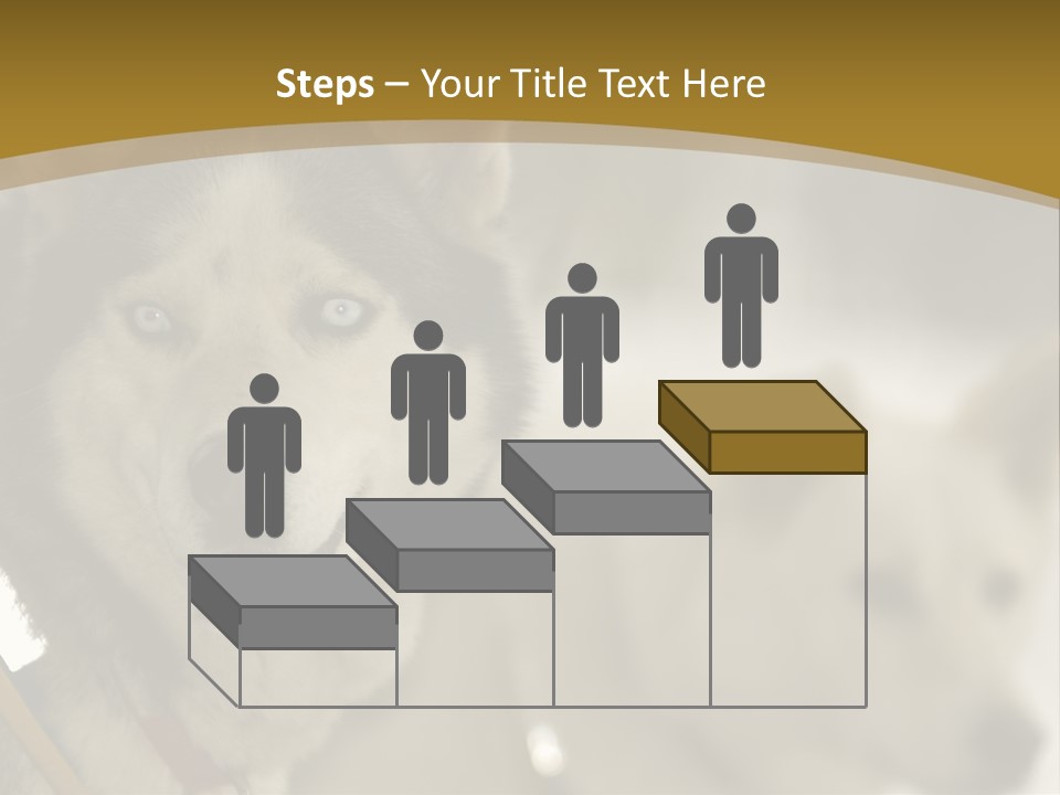 Performance Husky Fur PowerPoint Template