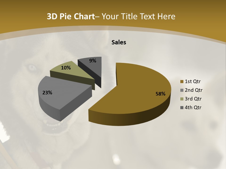 Performance Husky Fur PowerPoint Template