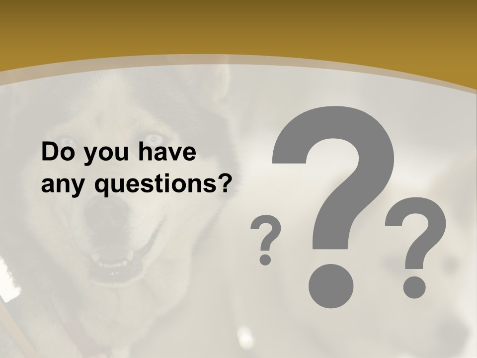 Performance Husky Fur PowerPoint Template