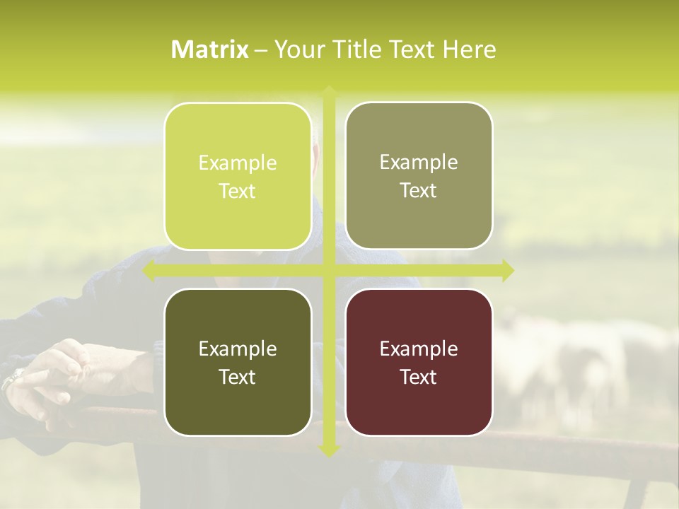 Occupation Shepherd Agriculture PowerPoint Template
