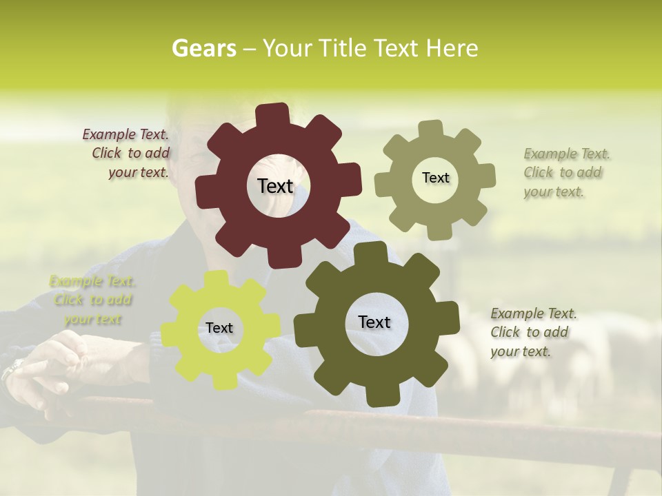 Occupation Shepherd Agriculture PowerPoint Template