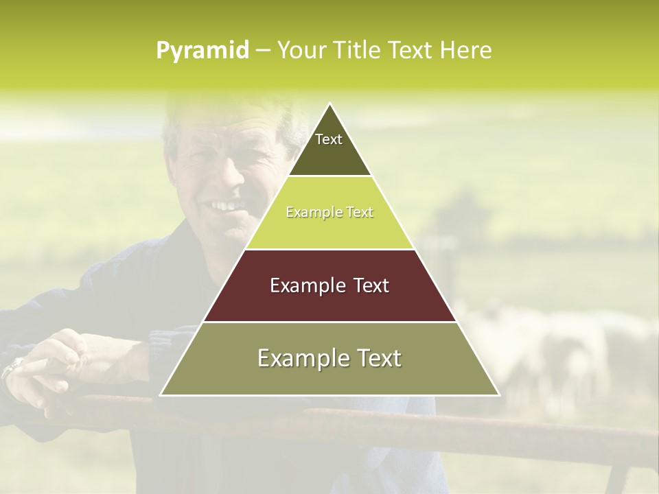 Occupation Shepherd Agriculture PowerPoint Template