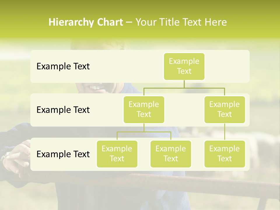 Occupation Shepherd Agriculture PowerPoint Template