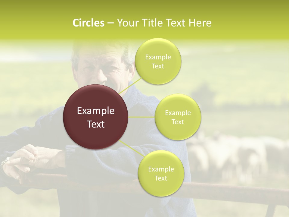 Occupation Shepherd Agriculture PowerPoint Template