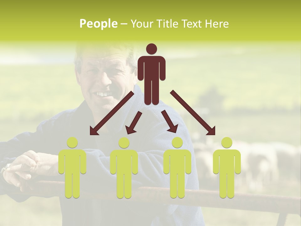 Occupation Shepherd Agriculture PowerPoint Template