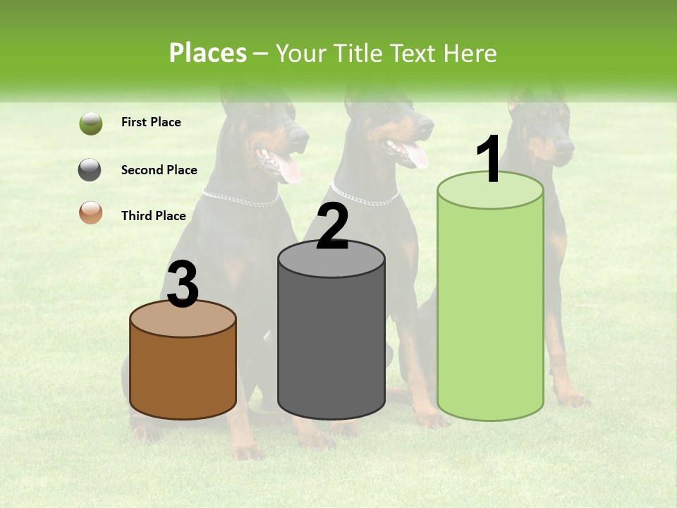 Malicious Grass Sit PowerPoint Template