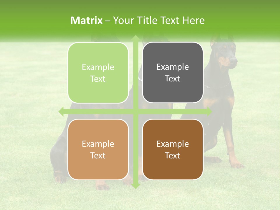 Malicious Grass Sit PowerPoint Template