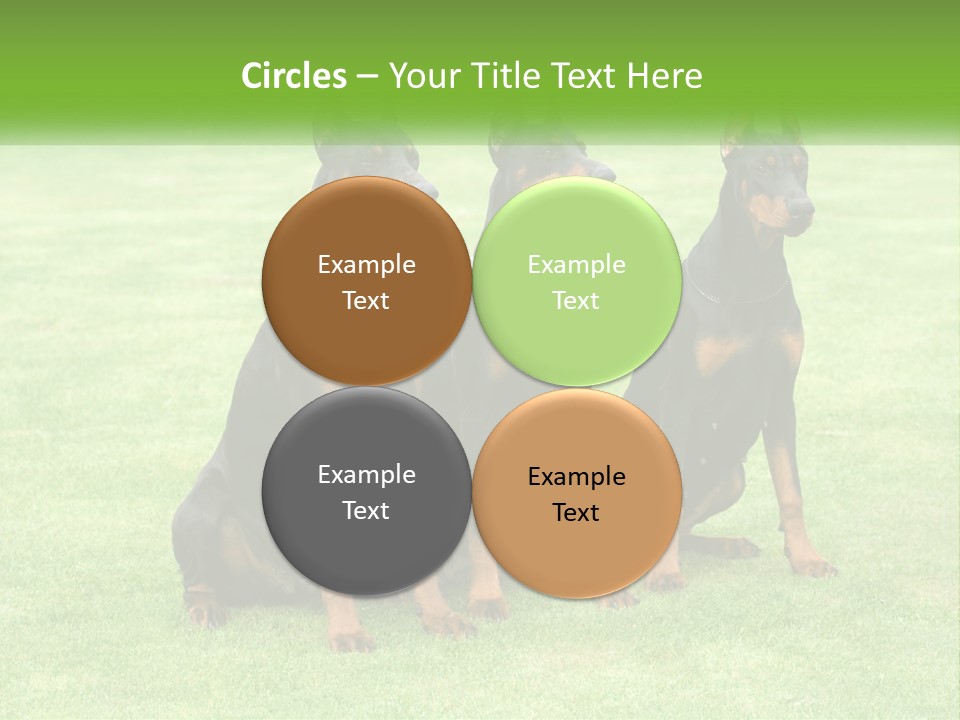 Malicious Grass Sit PowerPoint Template