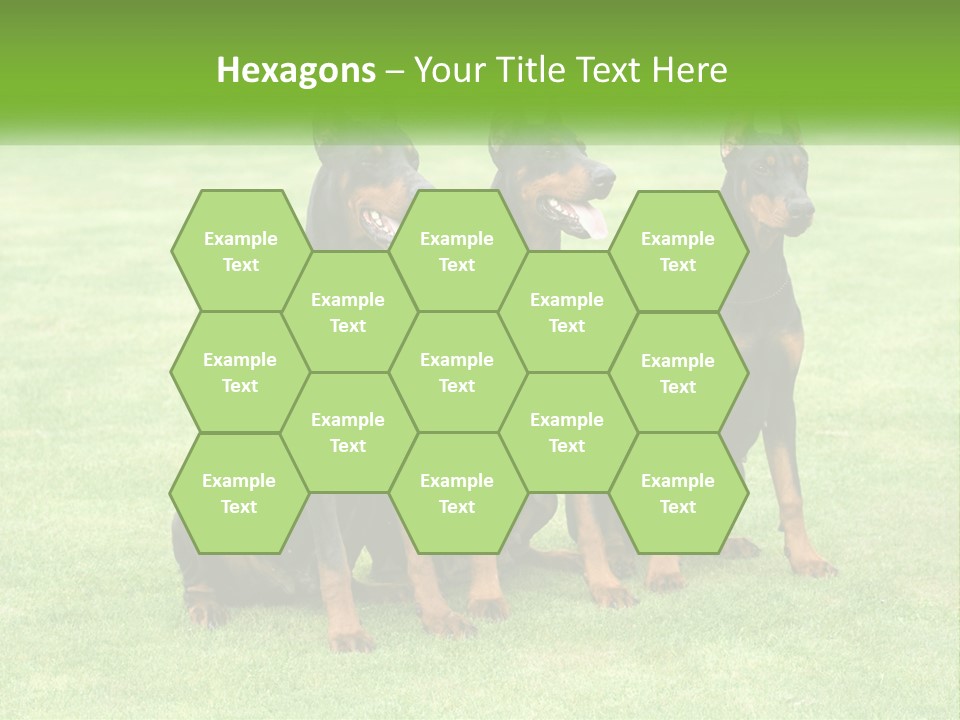 Malicious Grass Sit PowerPoint Template