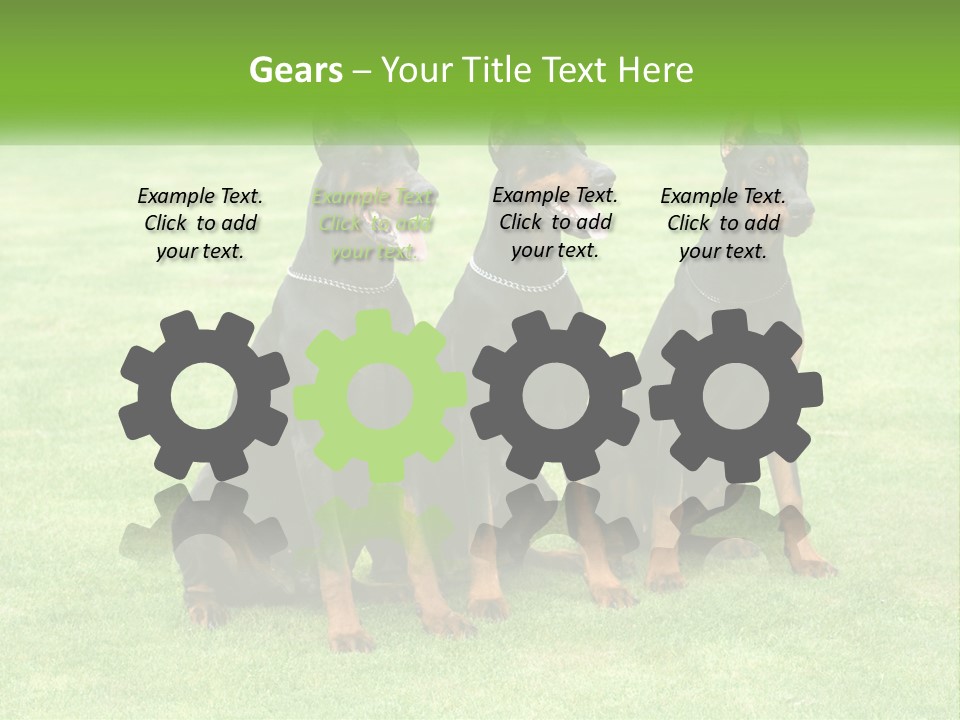 Malicious Grass Sit PowerPoint Template