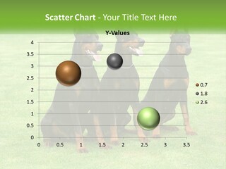 Malicious Grass Sit PowerPoint Template