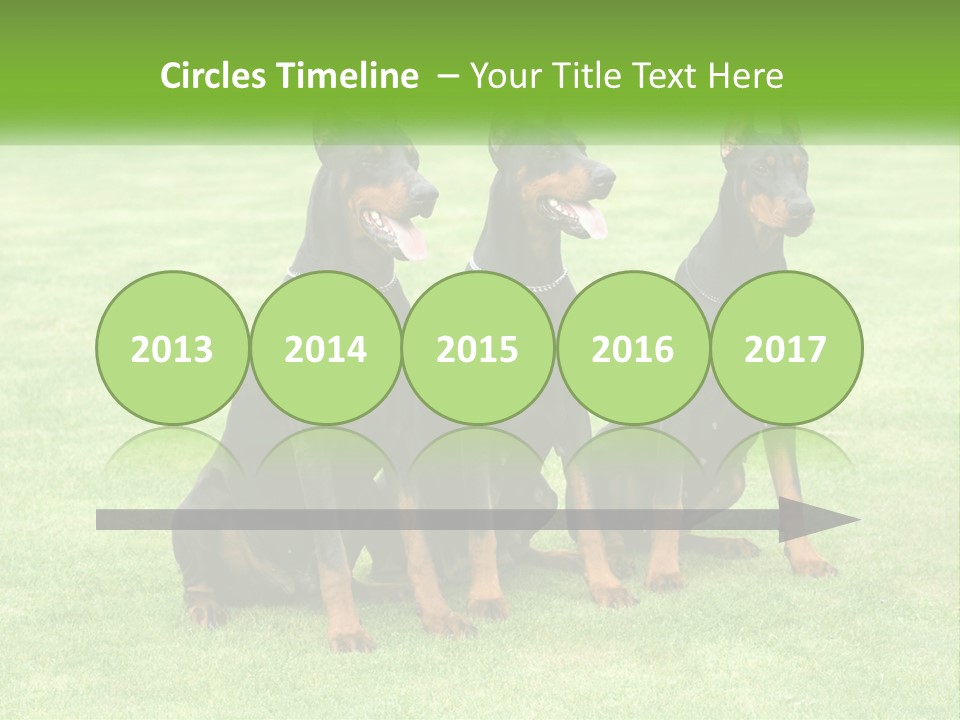 Malicious Grass Sit PowerPoint Template