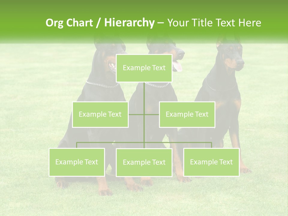 Malicious Grass Sit PowerPoint Template