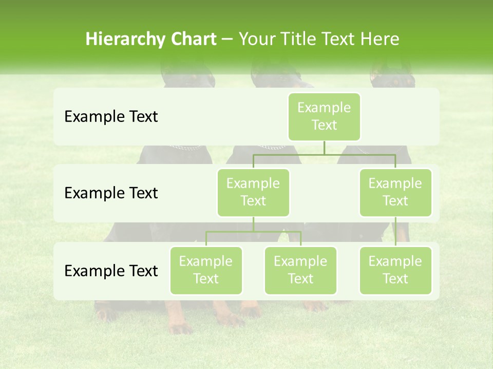 Malicious Grass Sit PowerPoint Template