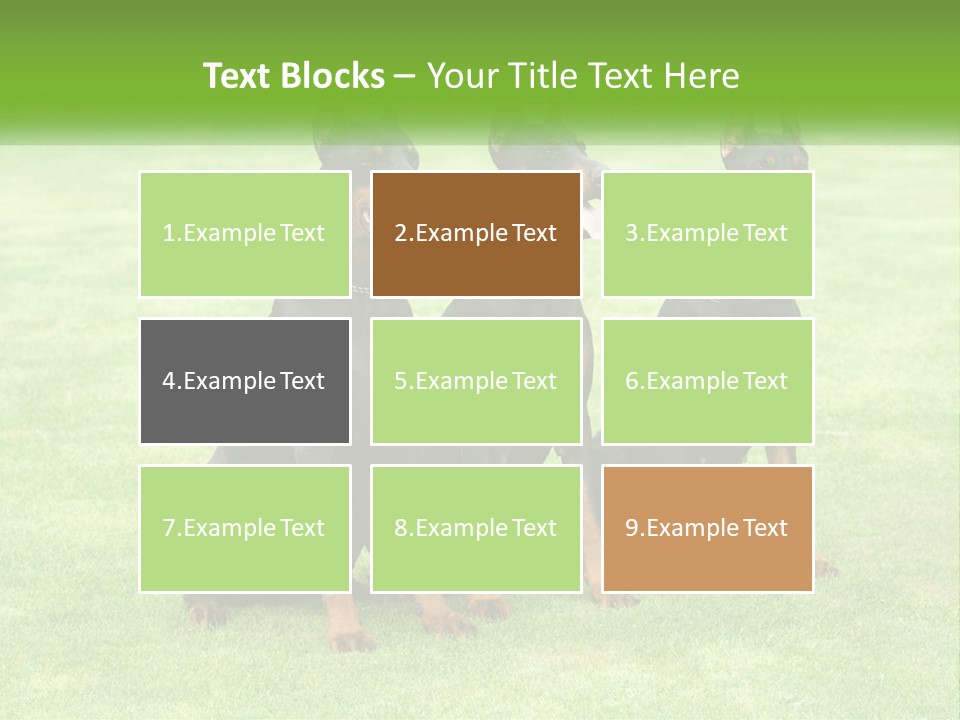 Malicious Grass Sit PowerPoint Template