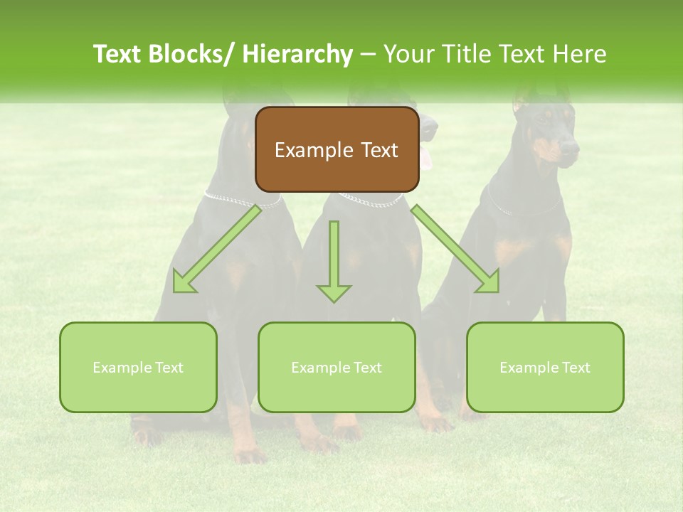 Malicious Grass Sit PowerPoint Template