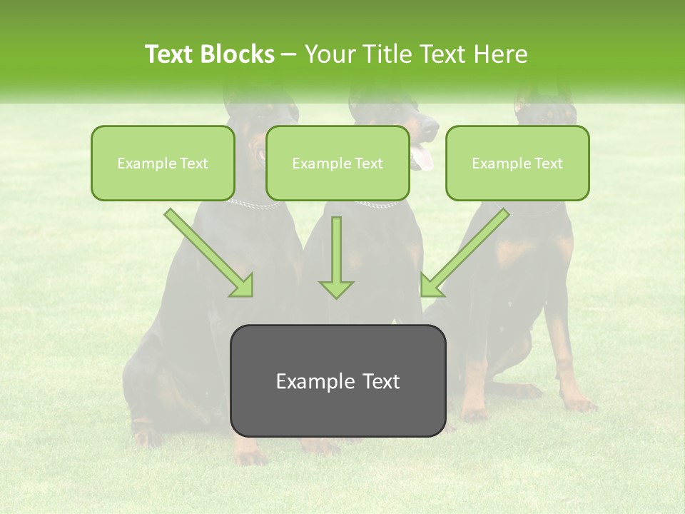 Malicious Grass Sit PowerPoint Template
