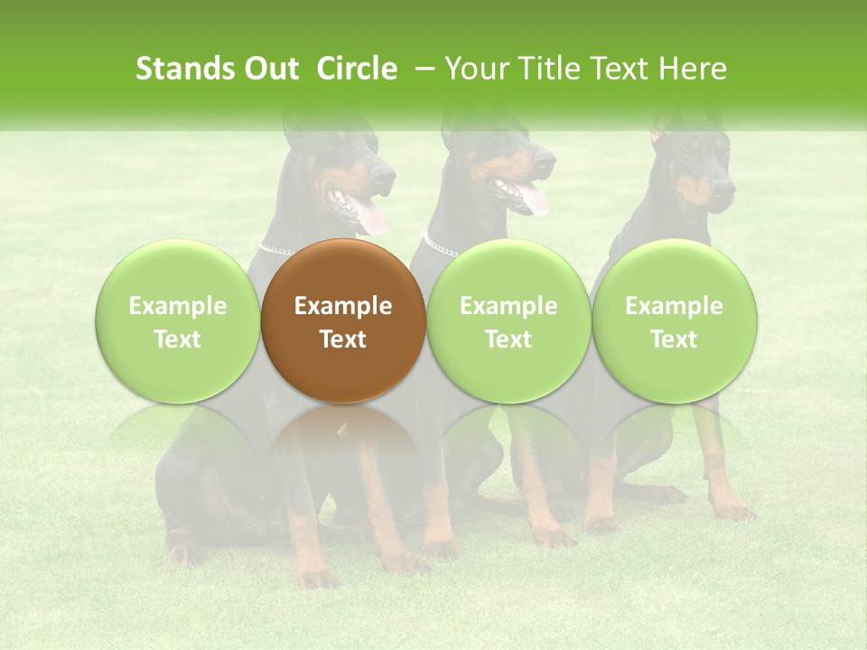 Malicious Grass Sit PowerPoint Template