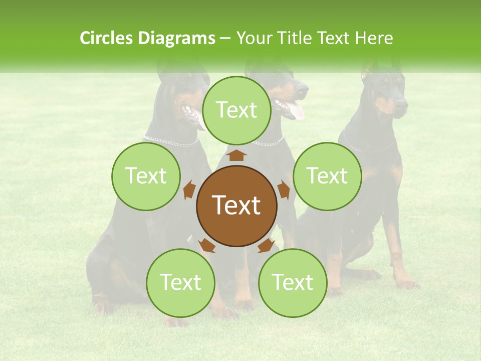 Malicious Grass Sit PowerPoint Template