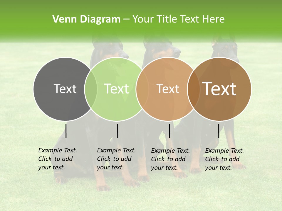 Malicious Grass Sit PowerPoint Template