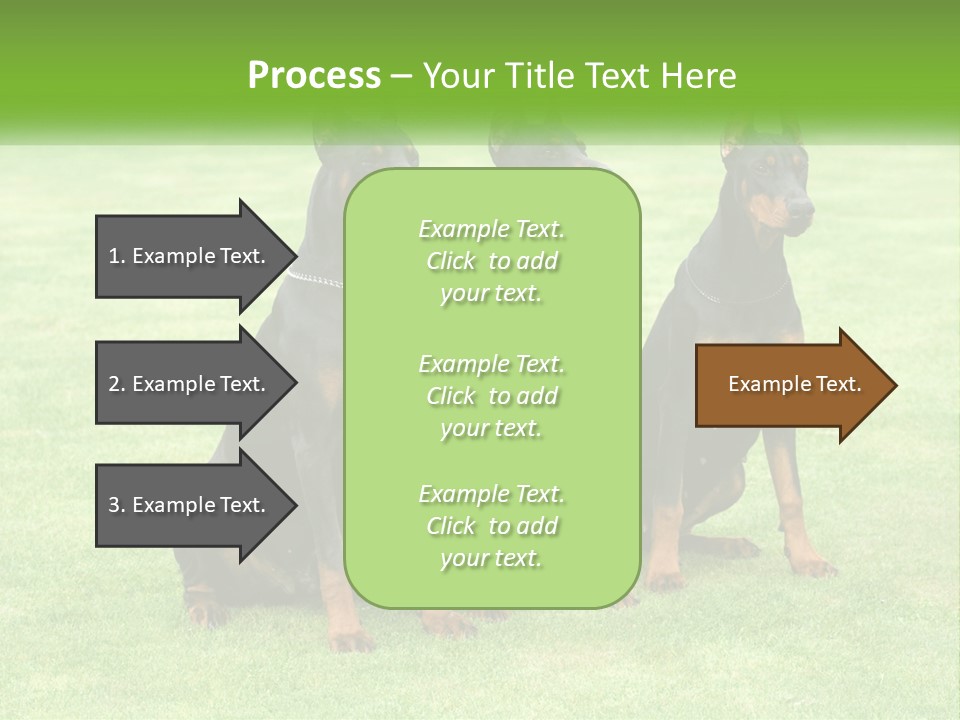 Malicious Grass Sit PowerPoint Template