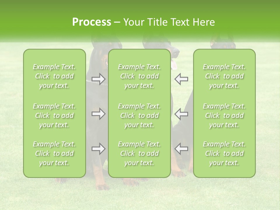 Malicious Grass Sit PowerPoint Template