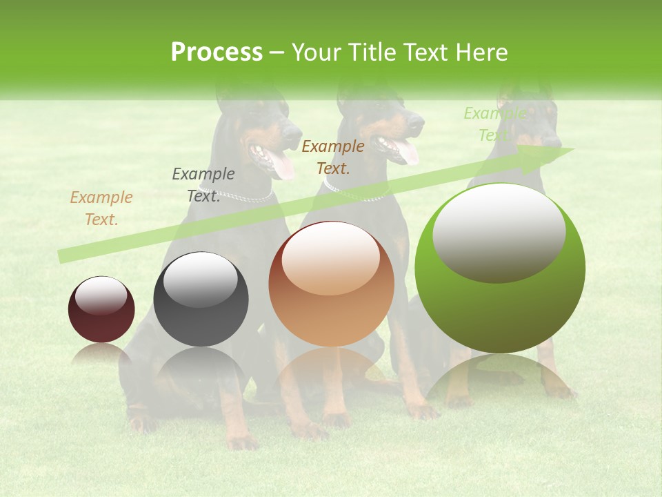 Malicious Grass Sit PowerPoint Template