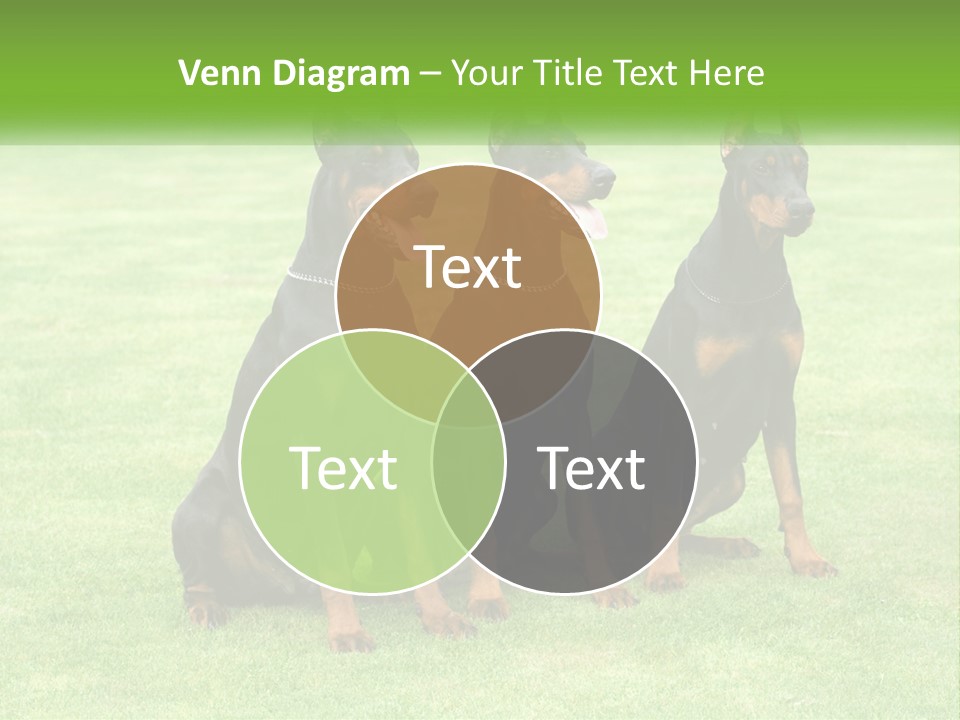 Malicious Grass Sit PowerPoint Template