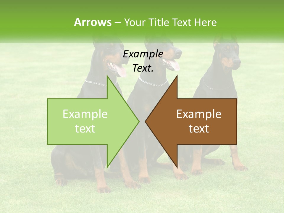 Malicious Grass Sit PowerPoint Template