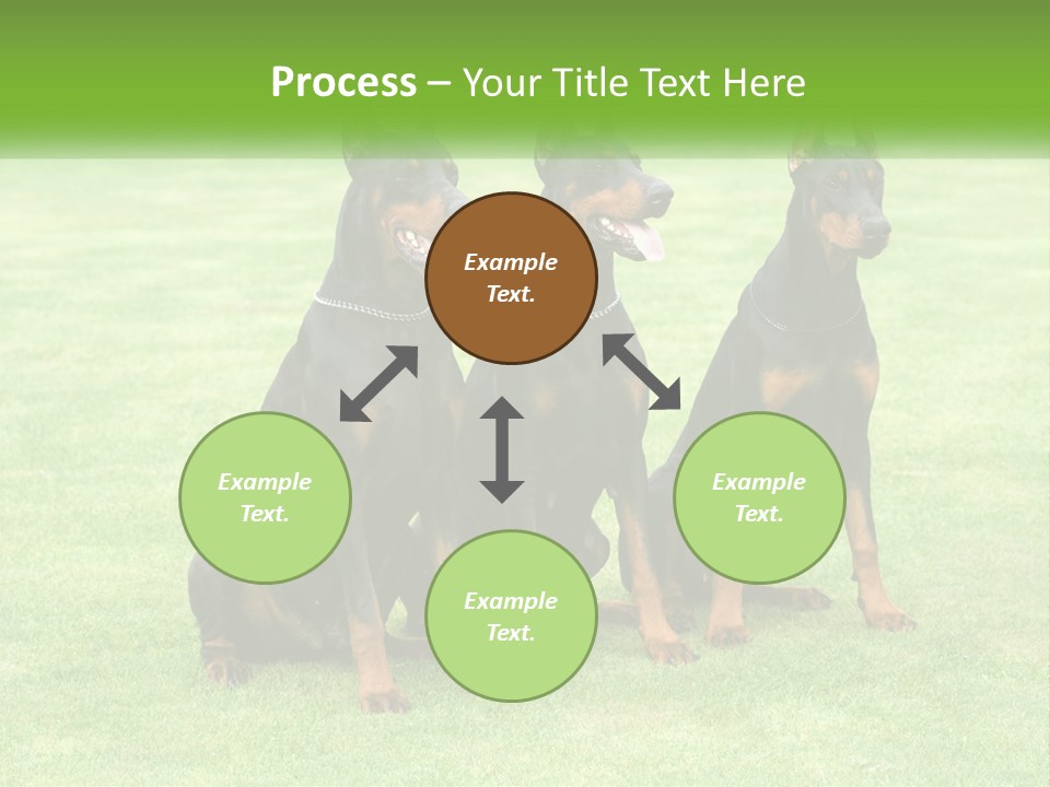 Malicious Grass Sit PowerPoint Template