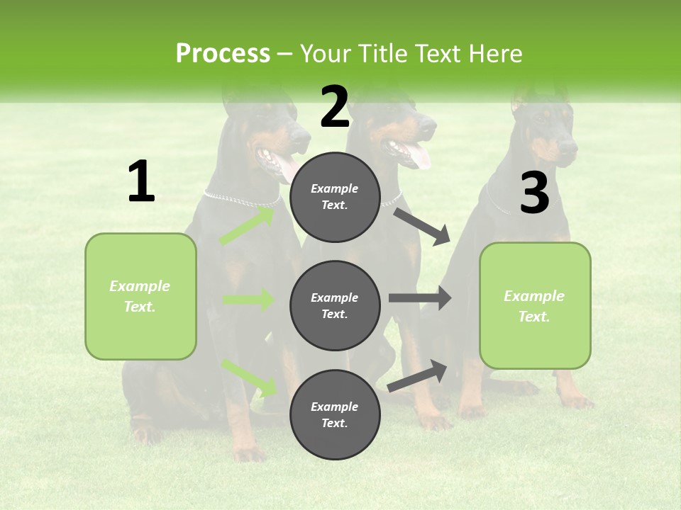 Malicious Grass Sit PowerPoint Template