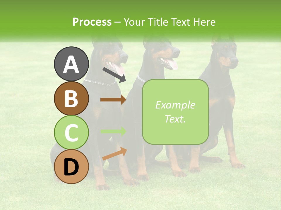 Malicious Grass Sit PowerPoint Template