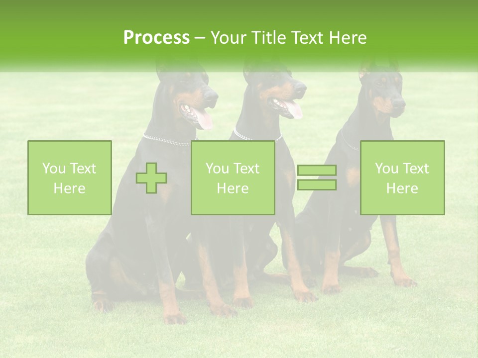 Malicious Grass Sit PowerPoint Template