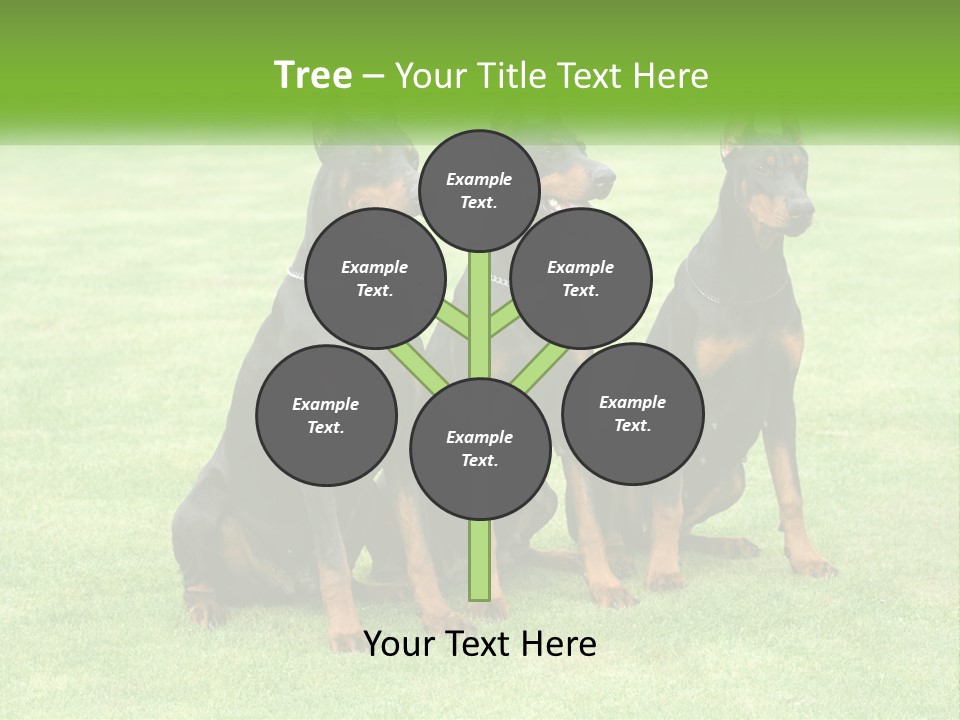 Malicious Grass Sit PowerPoint Template