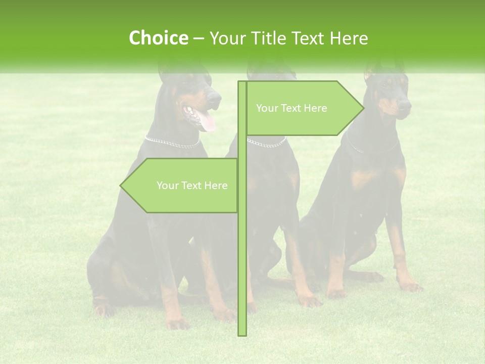 Malicious Grass Sit PowerPoint Template