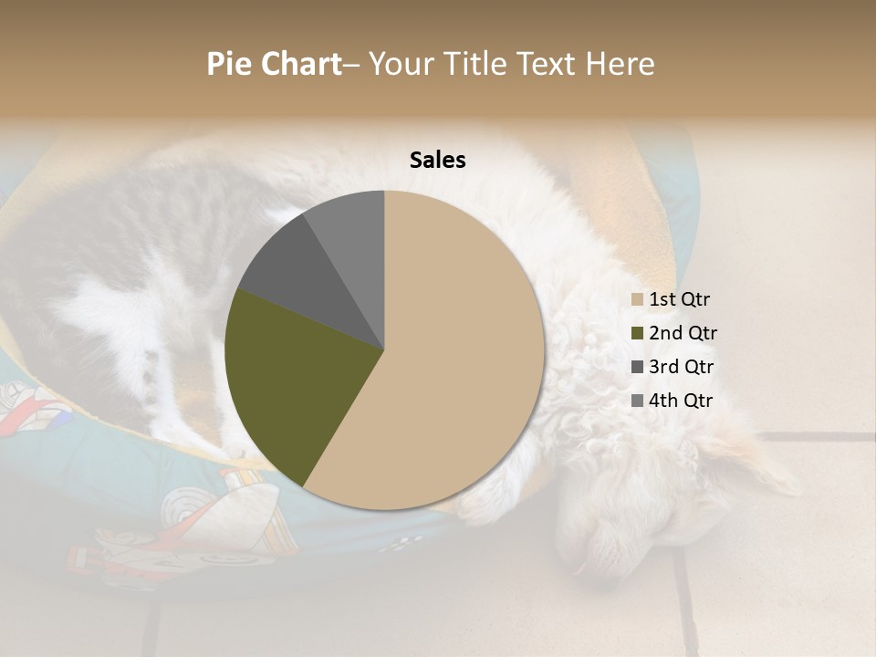 Pair Cat Little PowerPoint Template