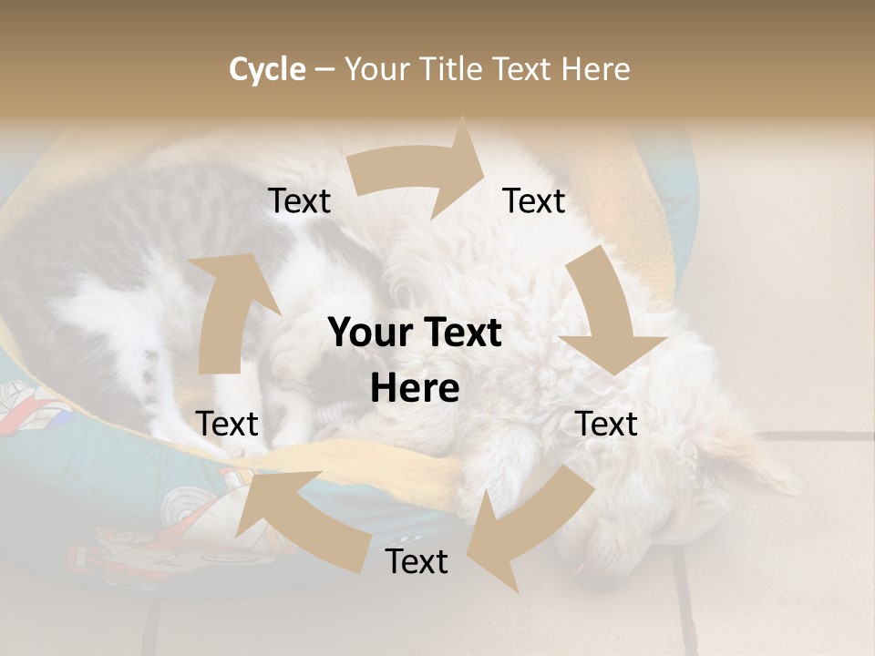 Pair Cat Little PowerPoint Template