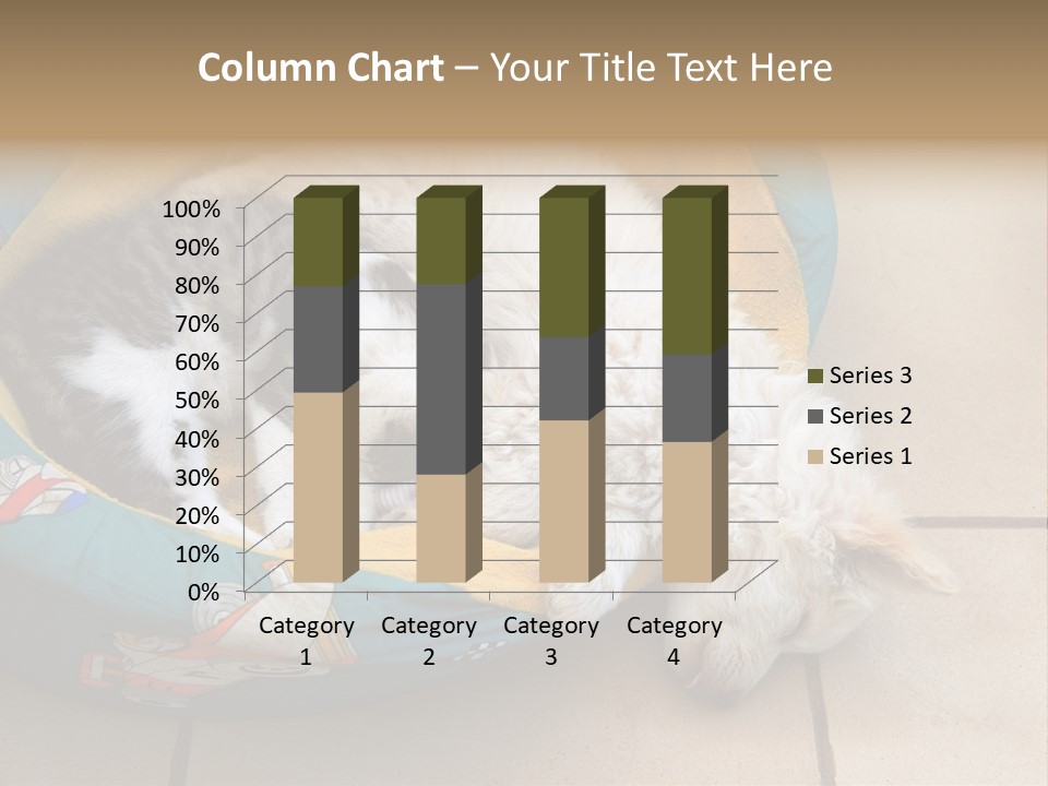 Pair Cat Little PowerPoint Template