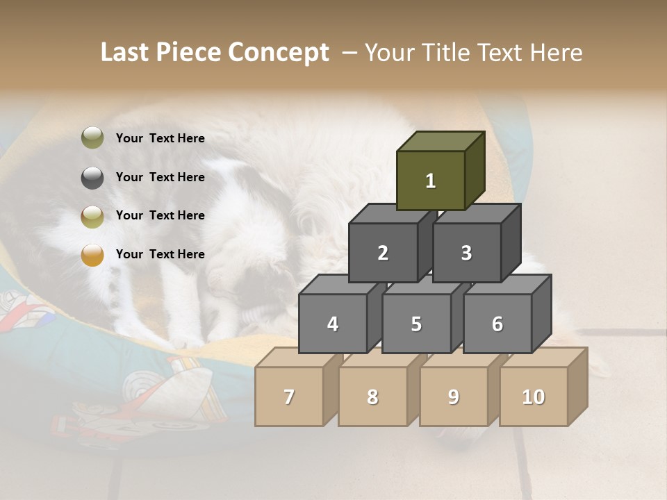 Pair Cat Little PowerPoint Template