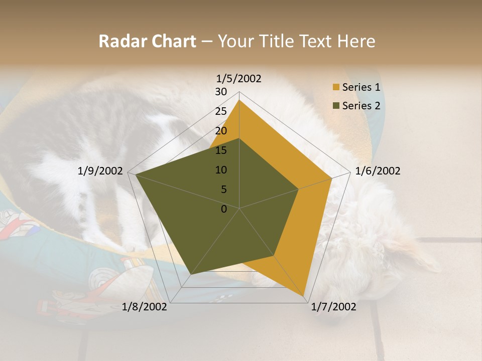 Pair Cat Little PowerPoint Template