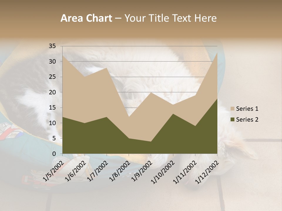 Pair Cat Little PowerPoint Template