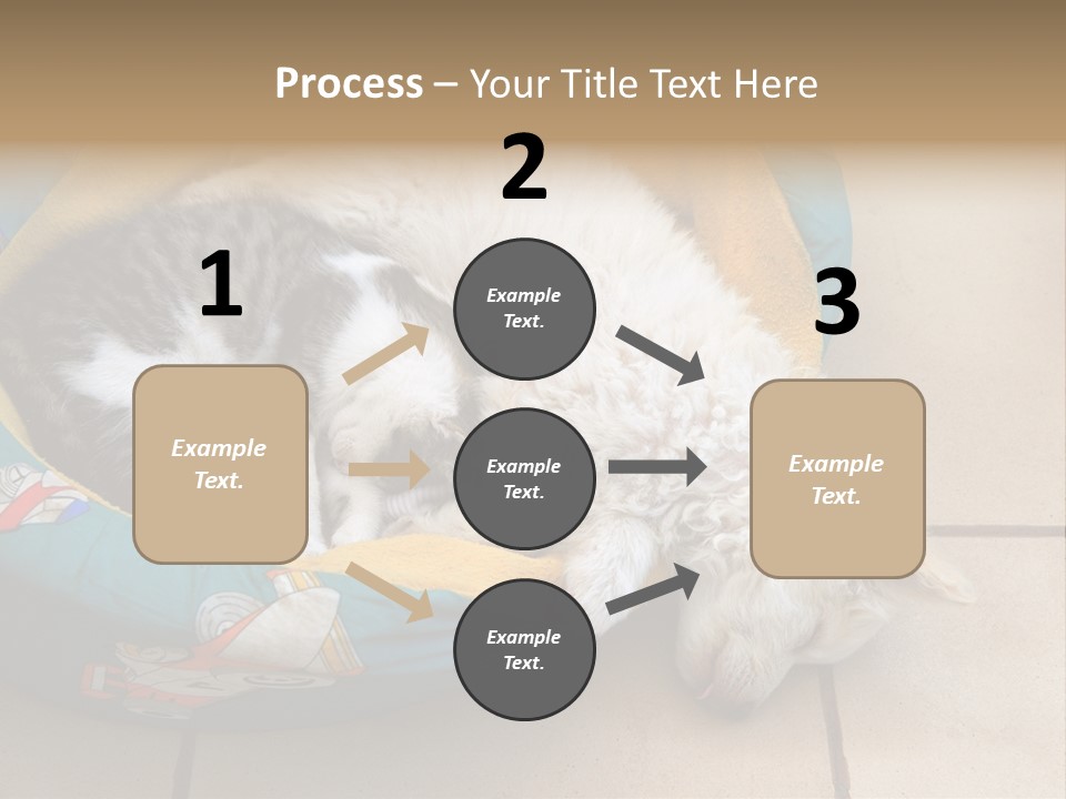Pair Cat Little PowerPoint Template