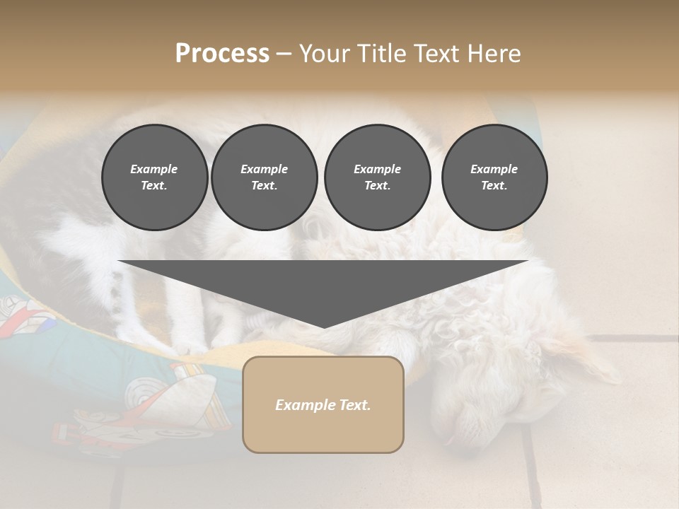 Pair Cat Little PowerPoint Template