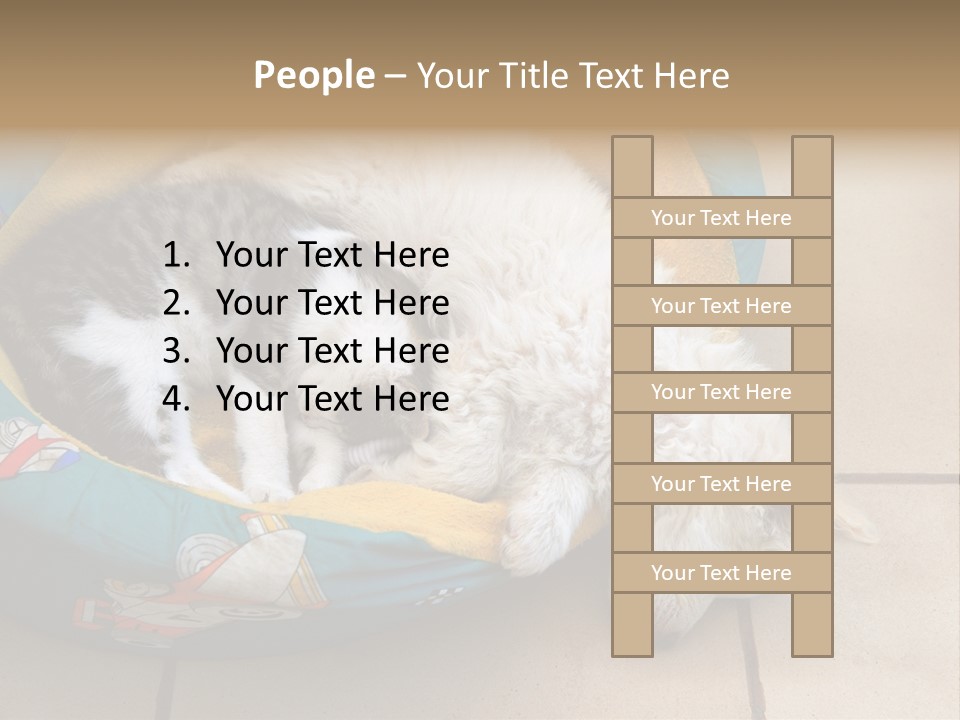 Pair Cat Little PowerPoint Template