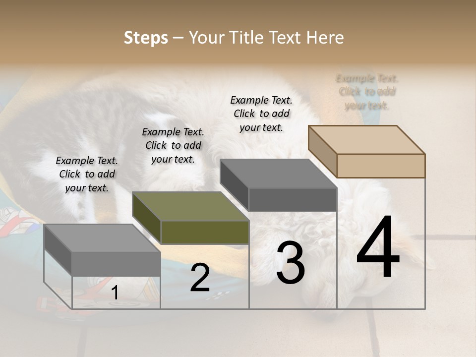 Pair Cat Little PowerPoint Template