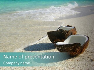 Vacation Coast Paradise PowerPoint Template