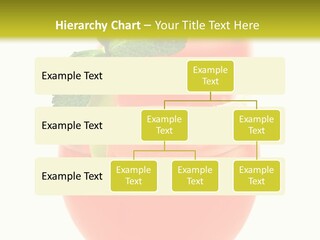 Occasion Garnish Fresh PowerPoint Template