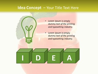 Occasion Garnish Fresh PowerPoint Template