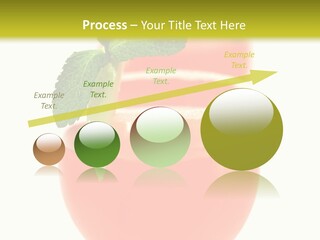 Occasion Garnish Fresh PowerPoint Template